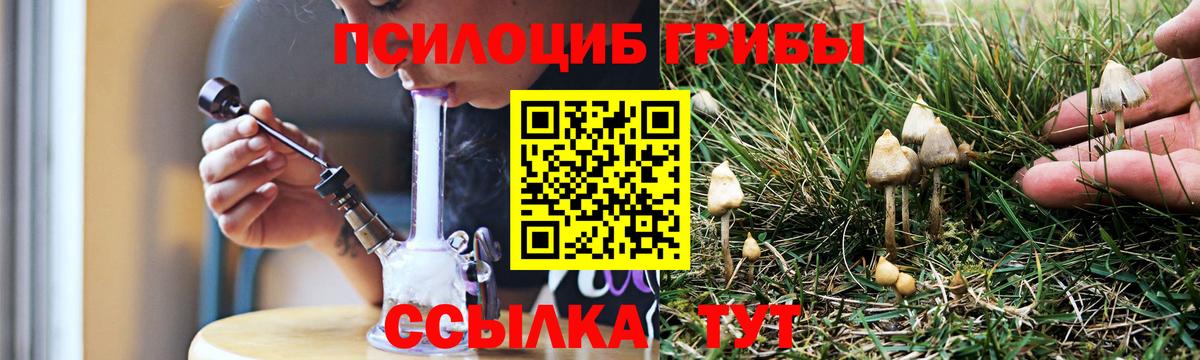 Приморско-Ахтарск  Галлюциногенные грибы Cubensis  Вход с VPN 